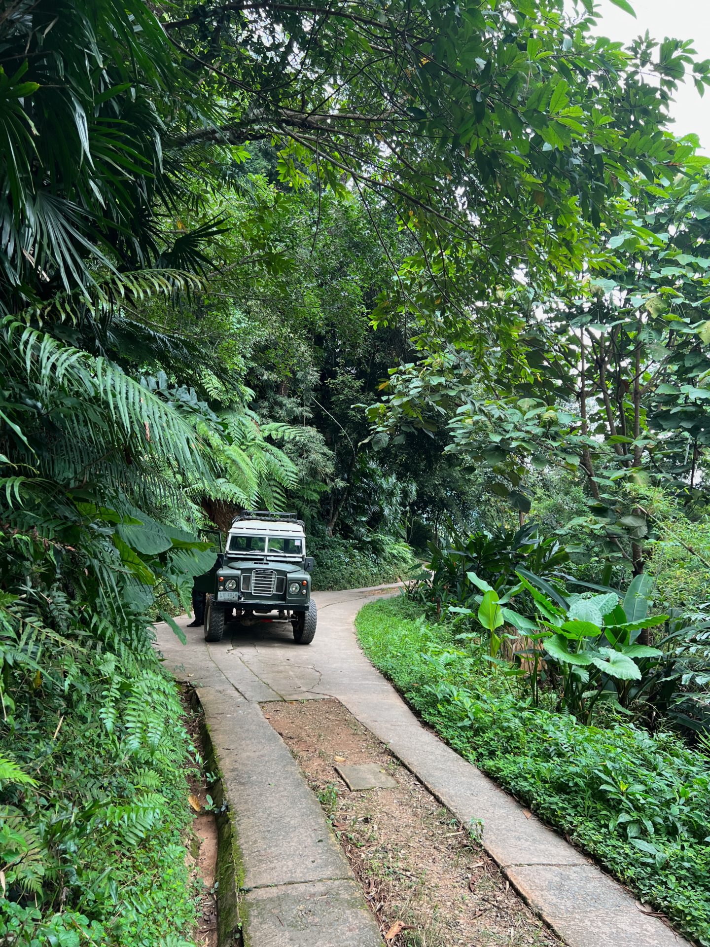 Four Seasons Golden Triangle