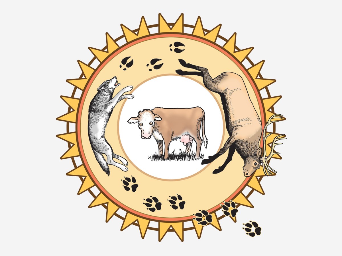 Can coexistence with wolves be bought?