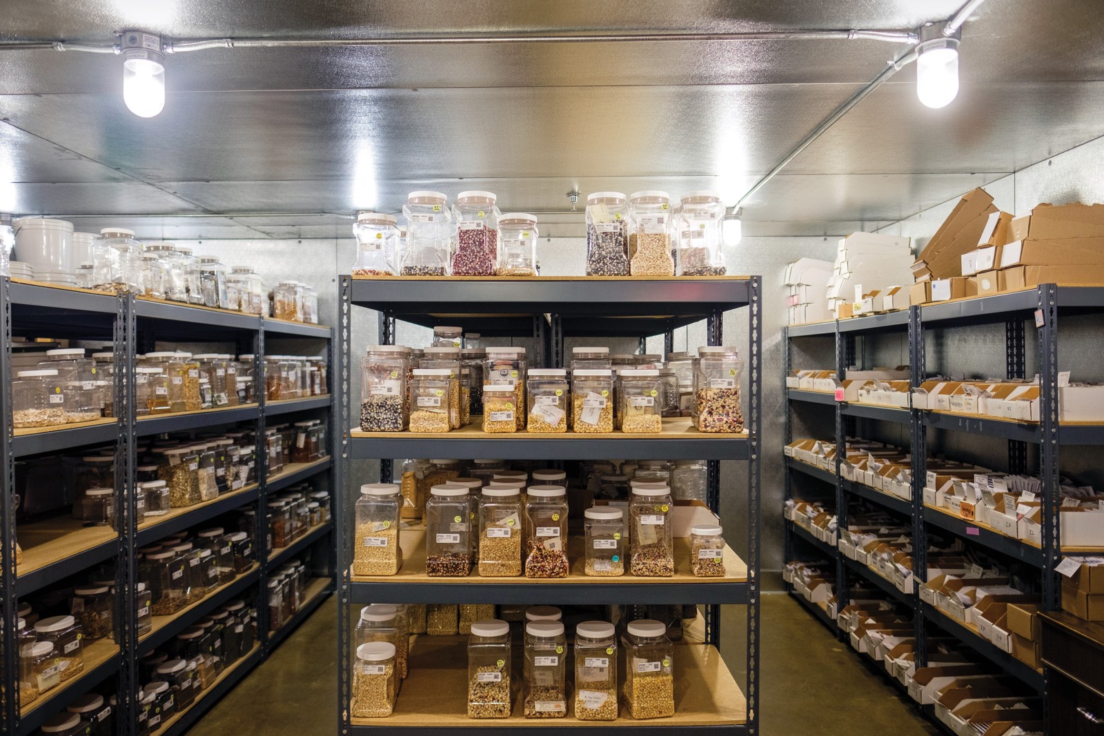 The seed vault at Native Seeds/SEARCH in Tucson, Arizona.
