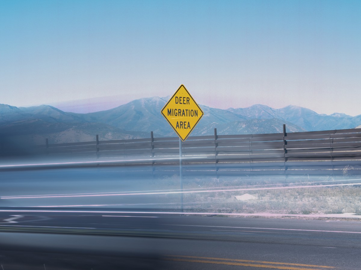 How do you protect wildlife from sprawl?