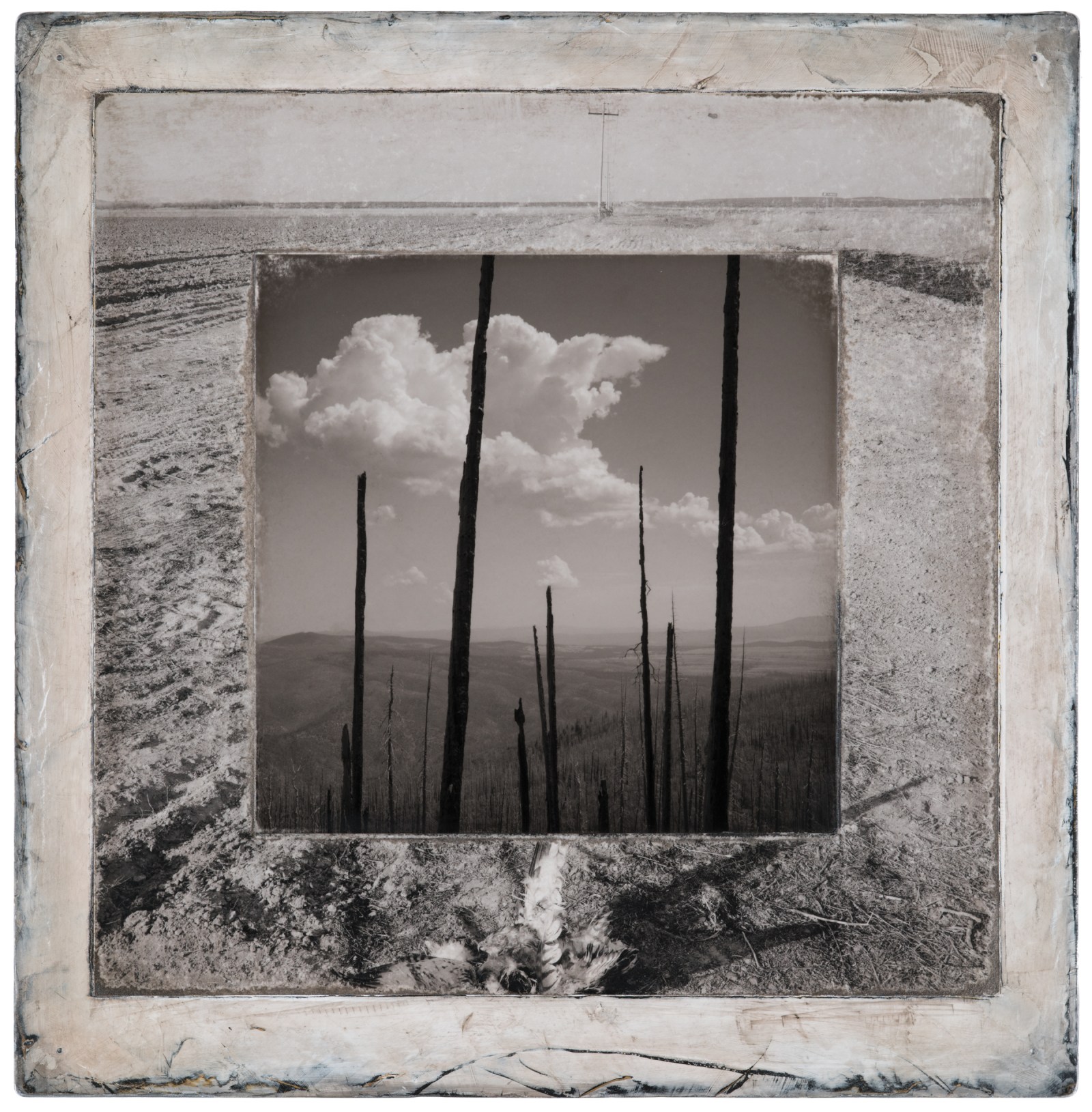 Gila Trinity #33 (Willow Mountain looking north and a dead owl on a farm near Puerto Palomas, Chihuahua).